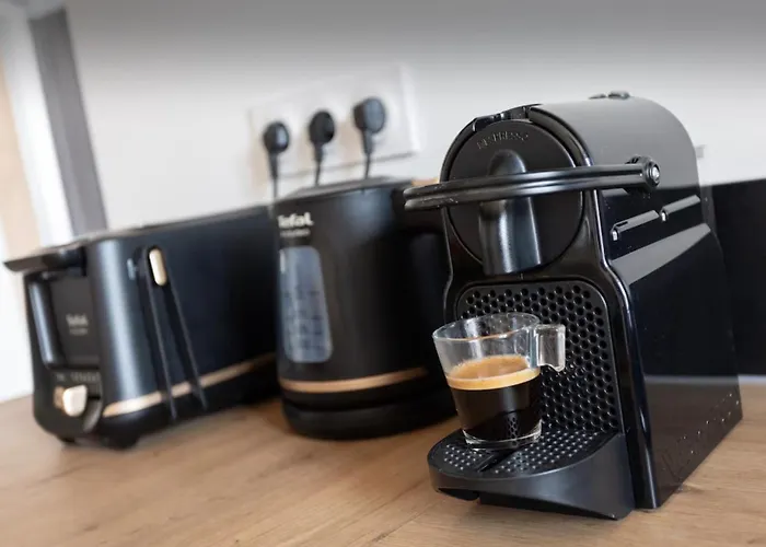 Le Clairmont - T3 Spacieux Et Lumineux Lejlighed *